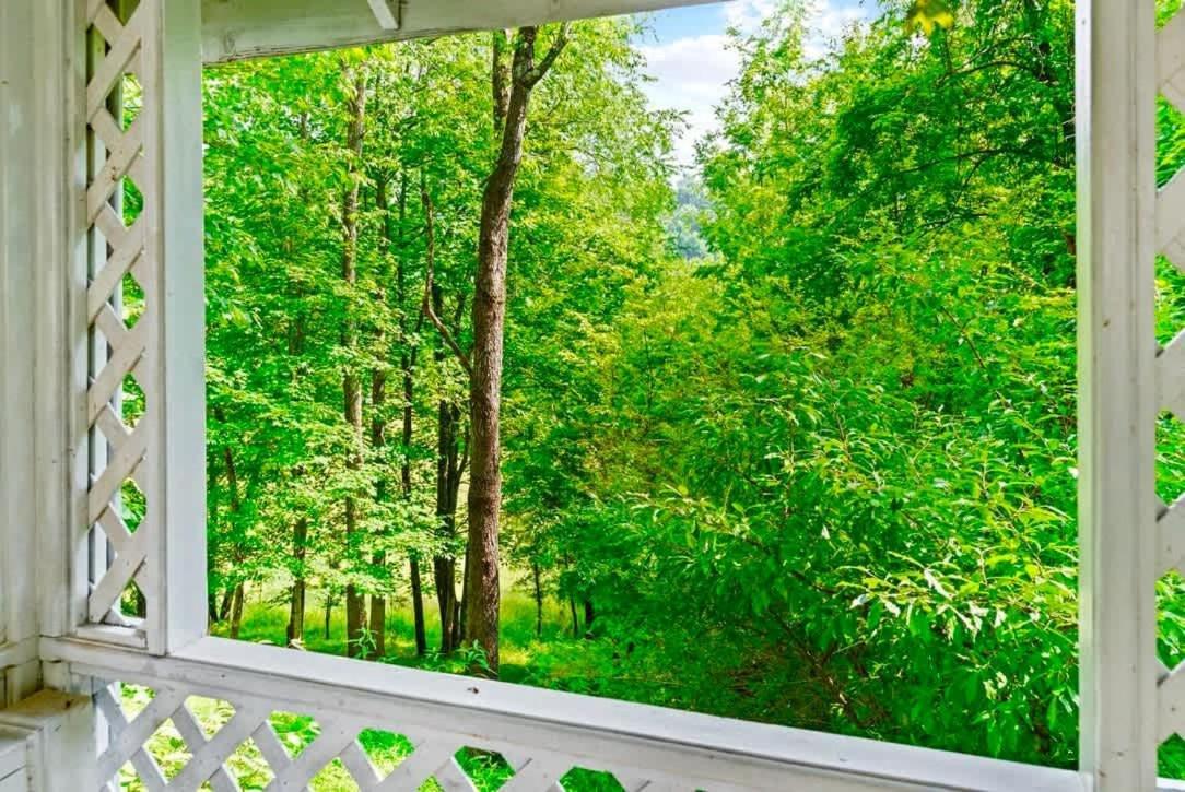 Gated Mansion - Basketball Court Movie Theater Views Villa Big Stone Gap Bagian luar foto